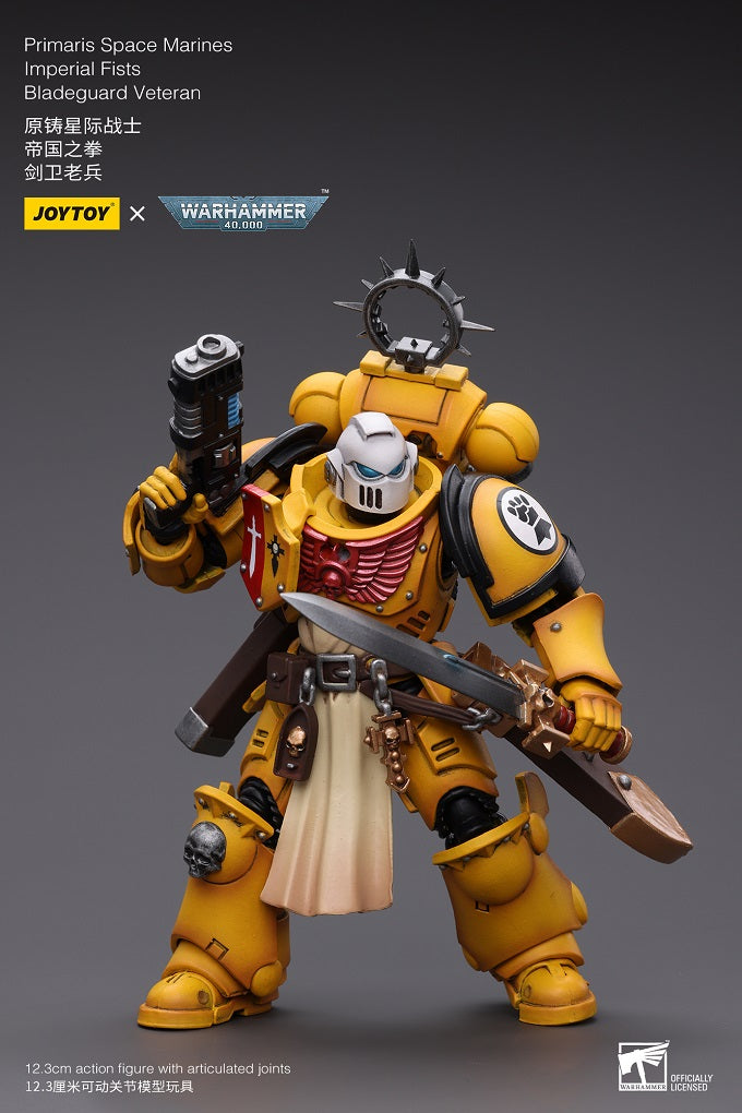 Primaris Space Marines Imperial Fists Bladeguard Veteran