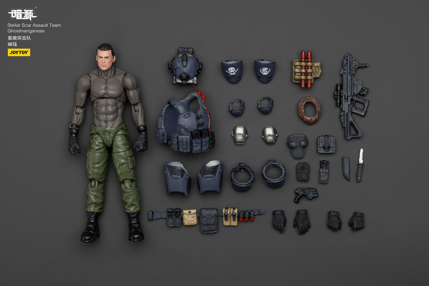 Stellar Scar Assault Team- Action Figure by JOYTOY