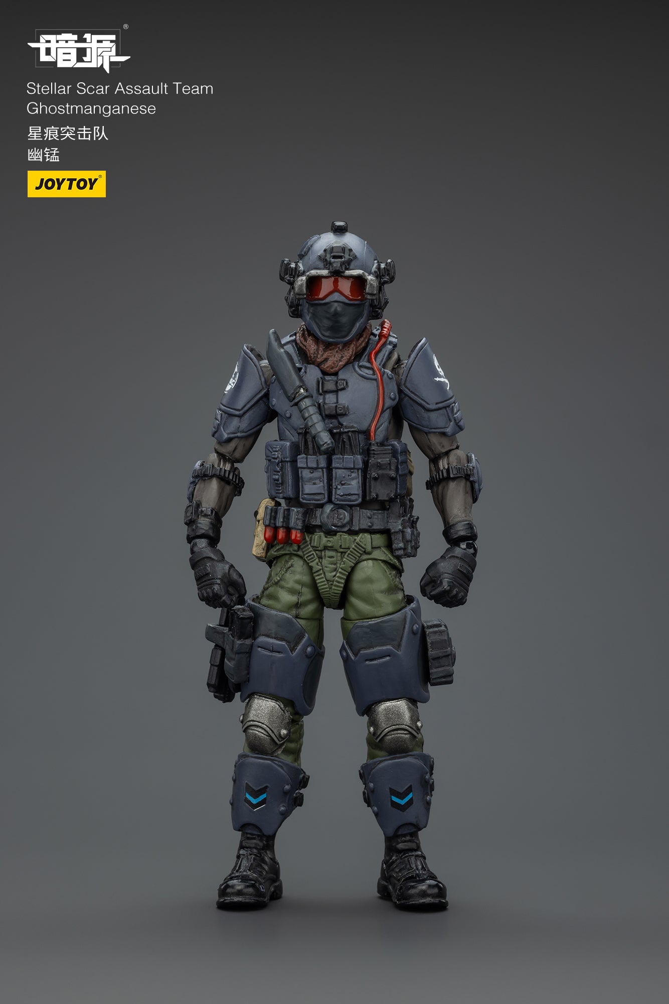 Stellar Scar Assault Team- Action Figure by JOYTOY