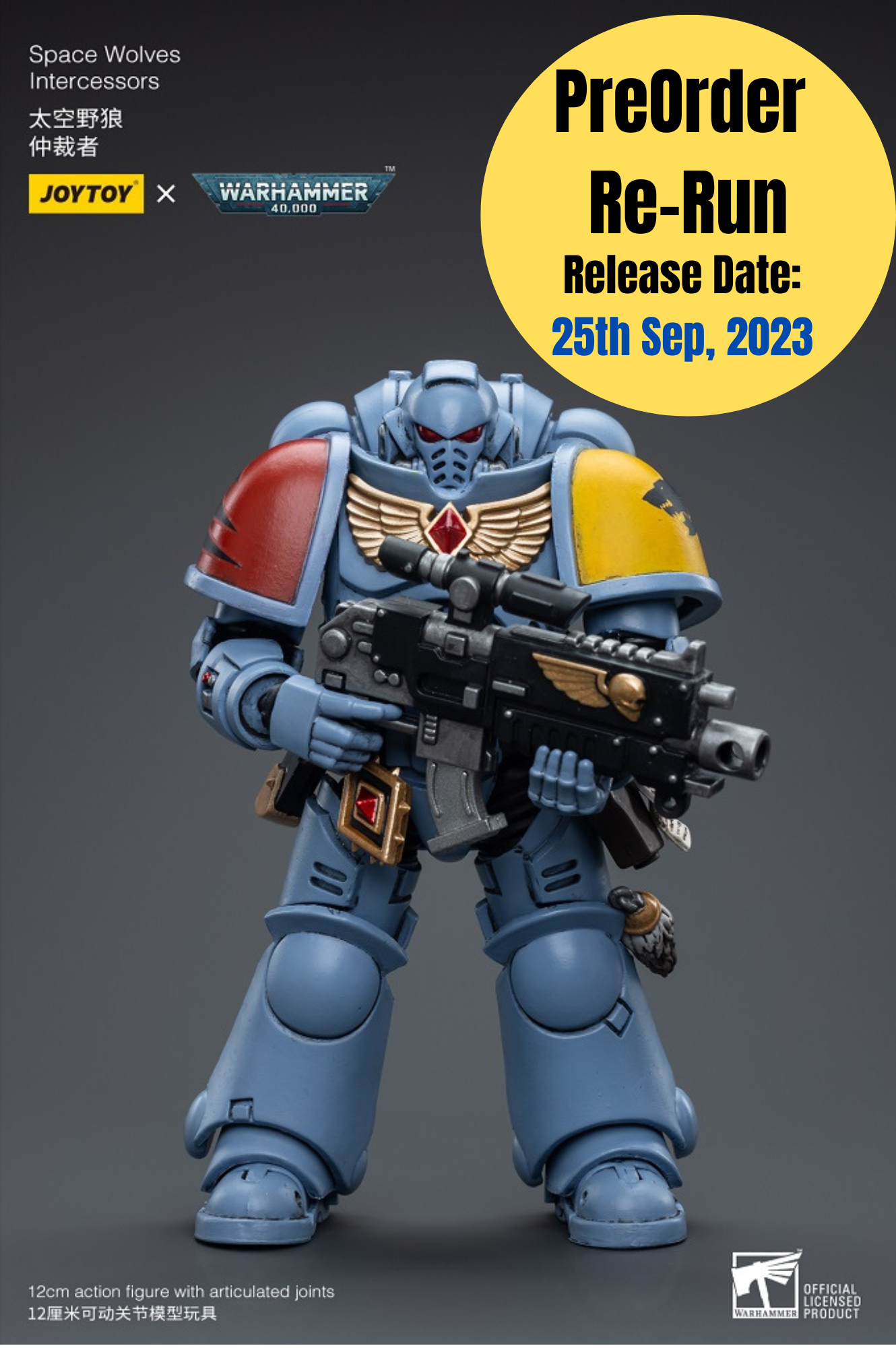 Space Wolves Intercessors