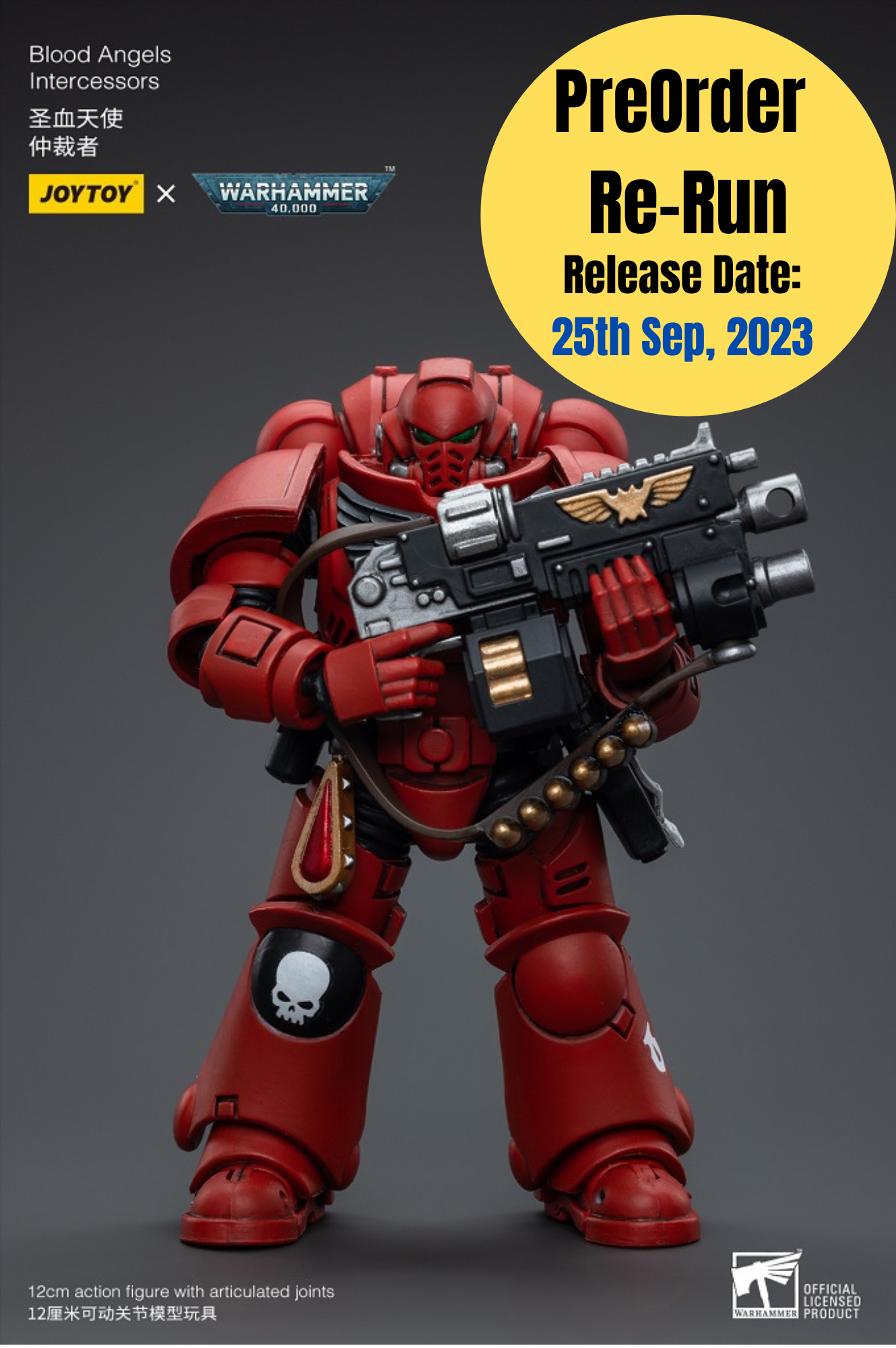 Blood Angels Intercessors