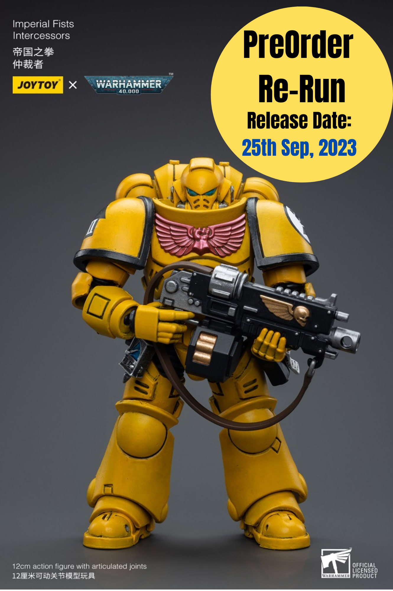 Imperial Fists Intercessors