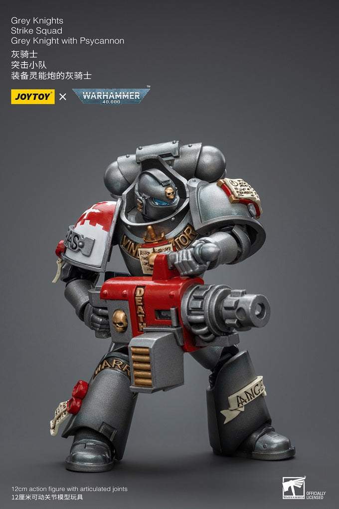 Grey Knights Strike Squad Grey Knight with Psycannon