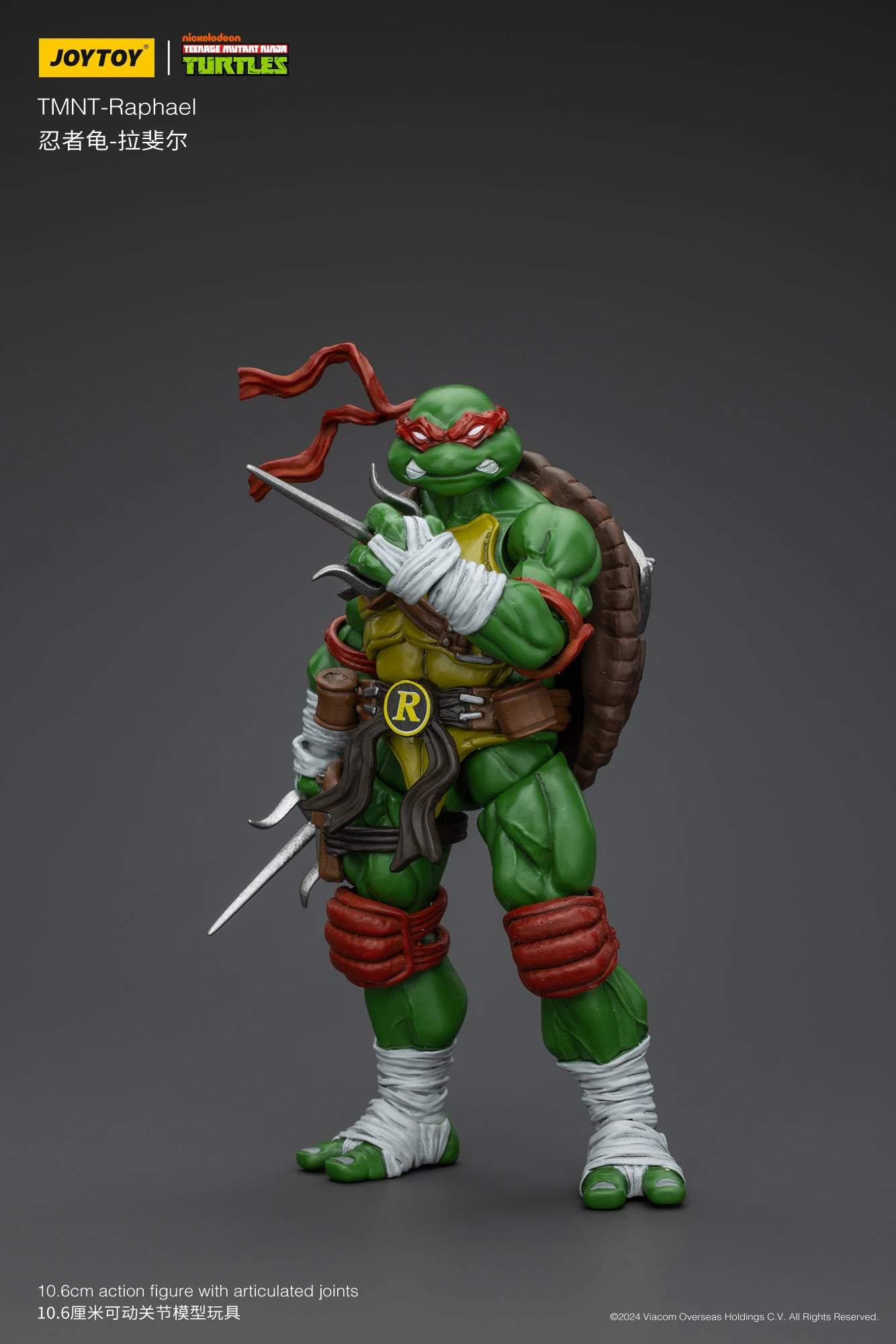 TMNT-Wave 1 - TMNT Action on Figure By JOYTOY