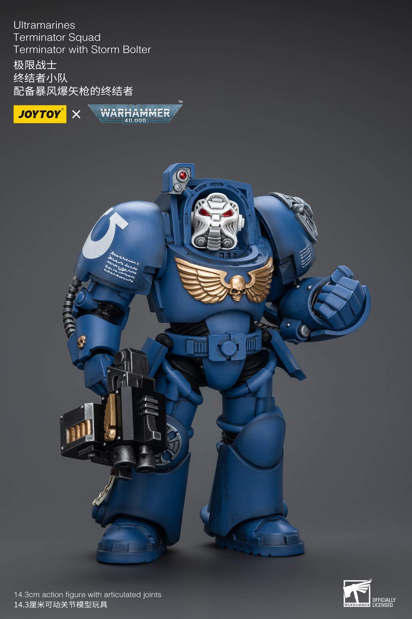 Ultramarines Terminator Squad Terminator with Storm Bolter- Warhammer 40K Action Figure By JOYTOY