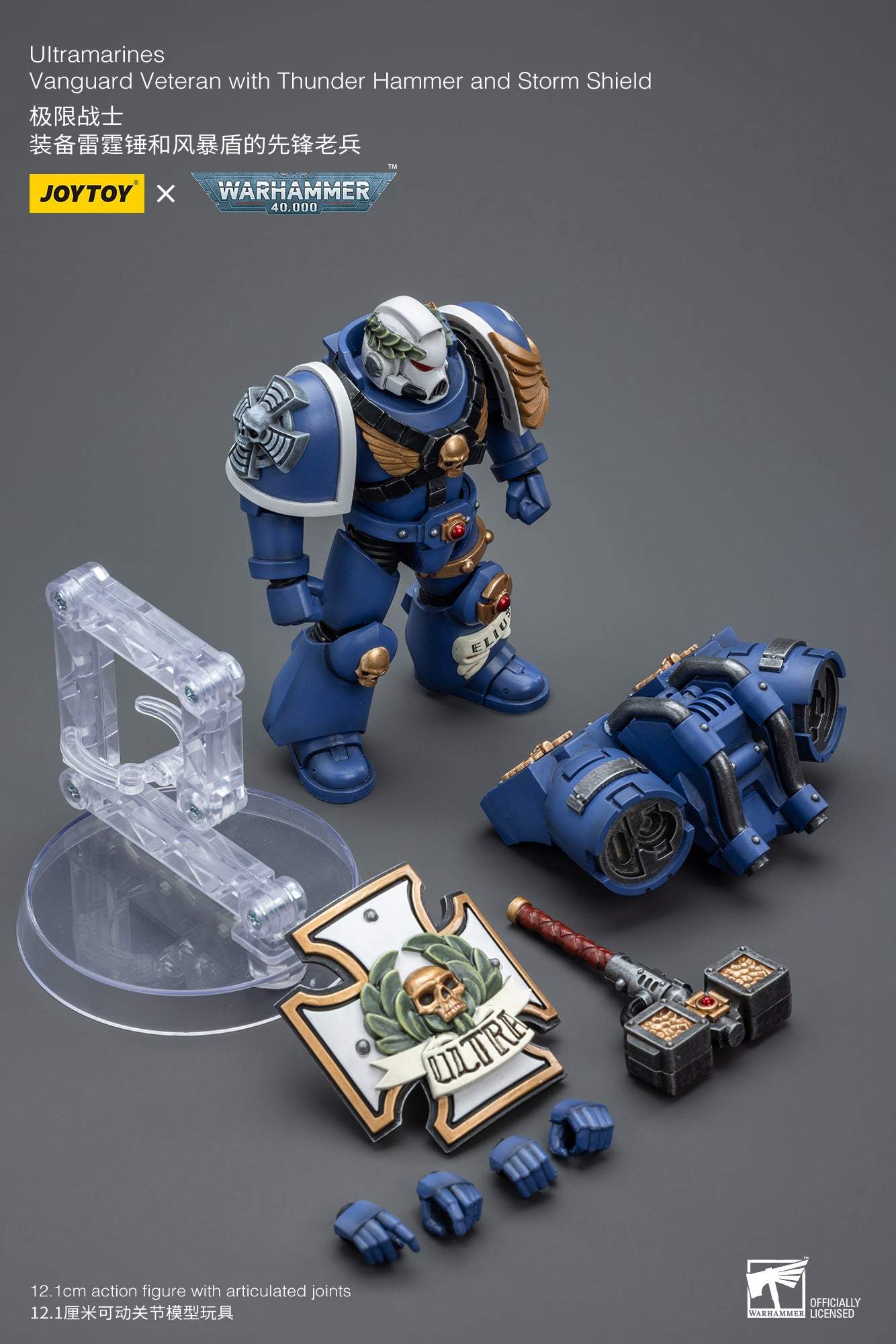 Ultramarines Vanguard Veteran with Thunder Hammer and Storm Shield