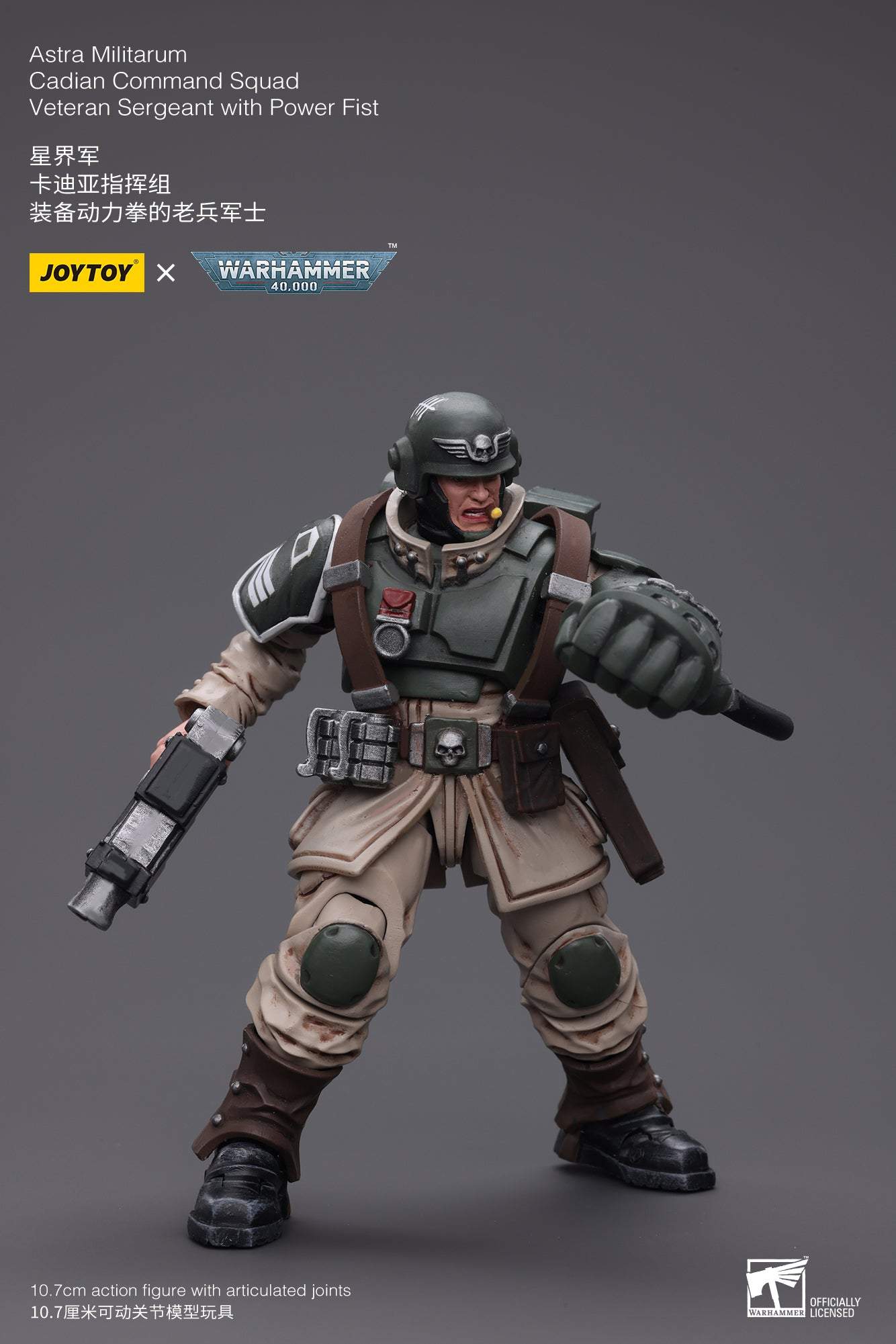 Astra Militarum Cadian Command Squad Veteran Sergeant with Power Fist