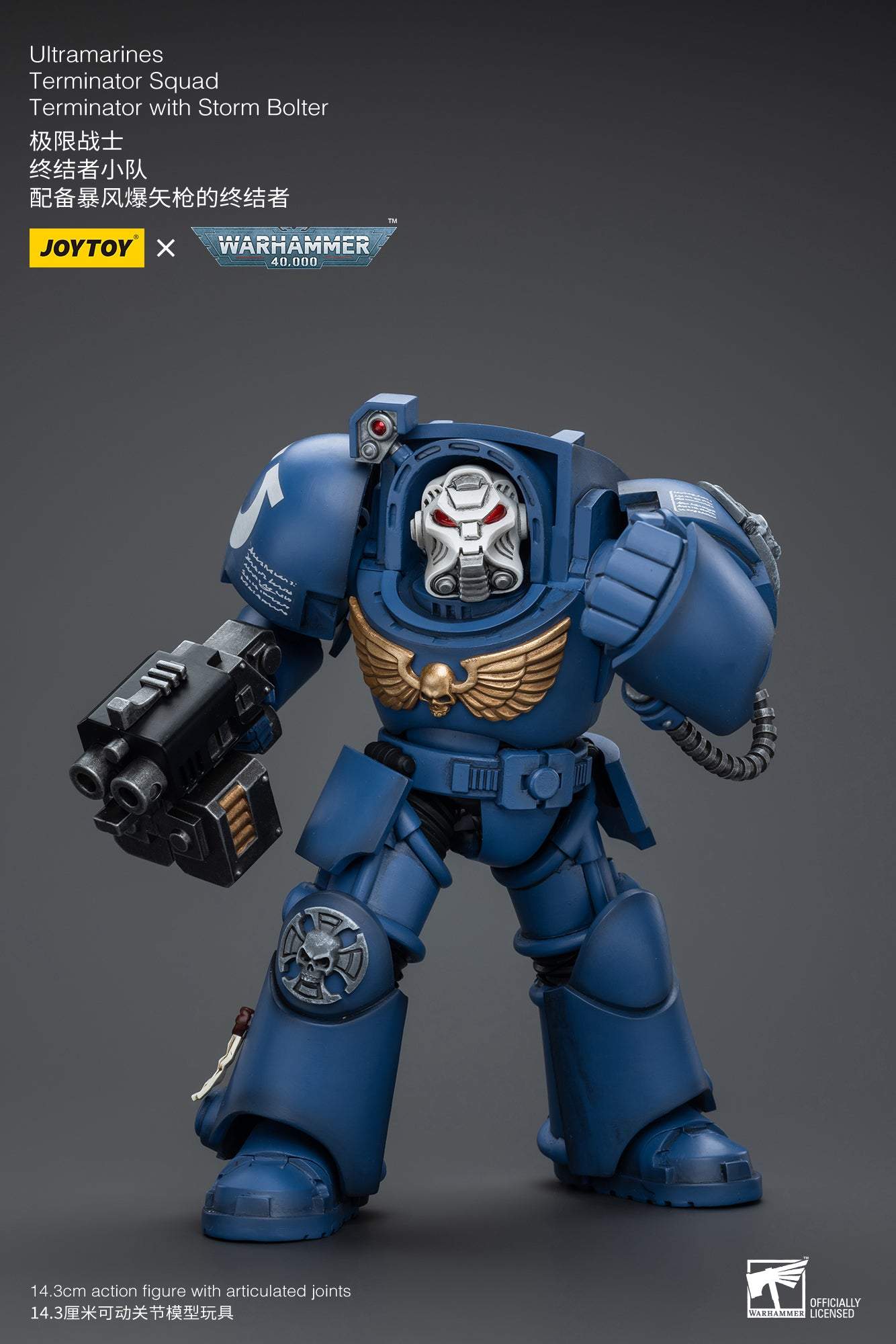 Ultramarines Terminator Squad Terminator with Storm Bolter- Warhammer 40K Action Figure By JOYTOY