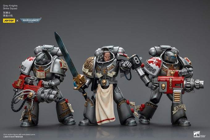 Grey Knights Strike Squad Grey Knight with Psycannon