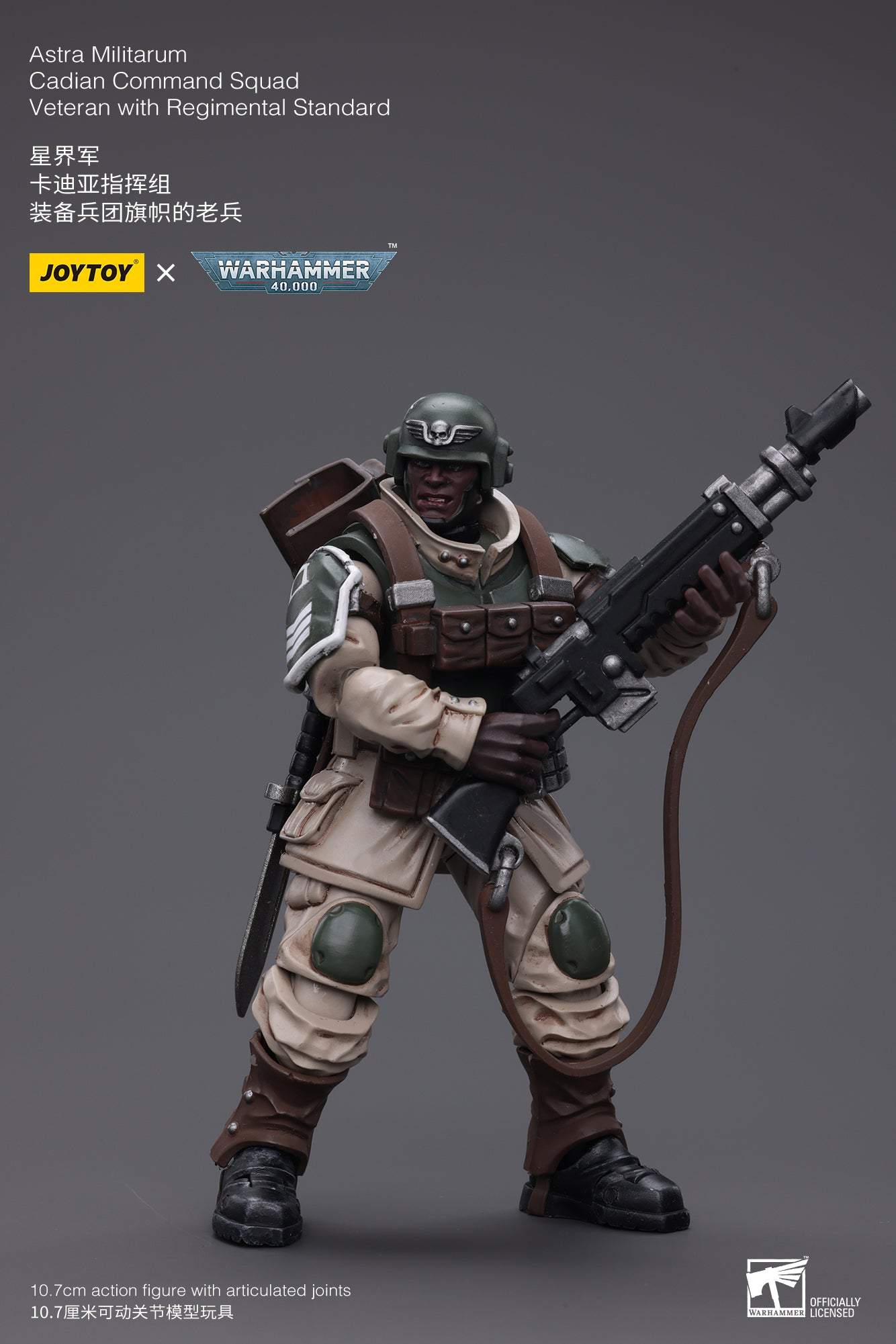 Astra Militarum Cadian Command Squad Veteran with Regimental Standard
