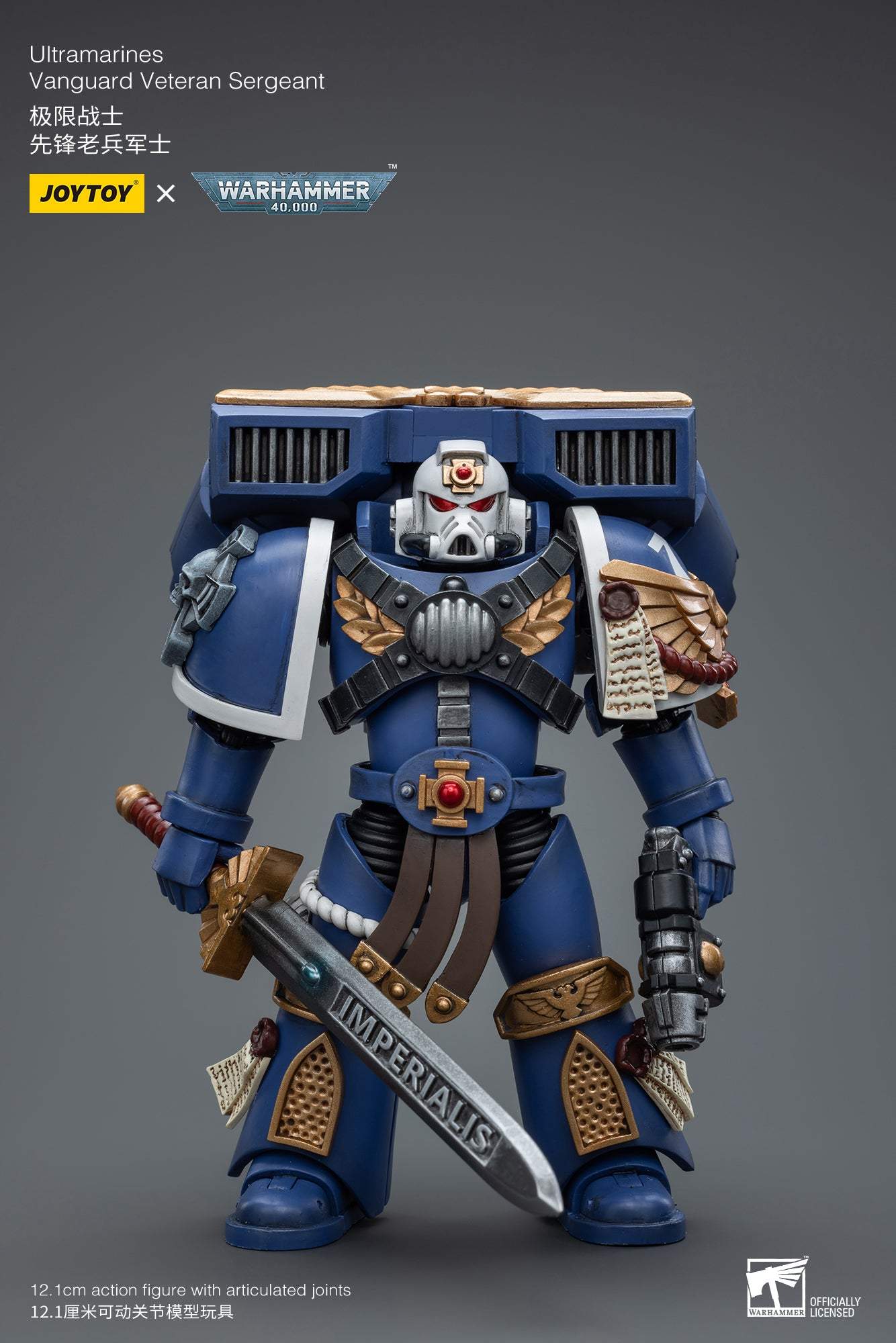Ultramarines Vanguard Veteran Sergeant