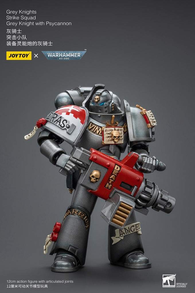 Grey Knights Strike Squad Grey Knight with Psycannon