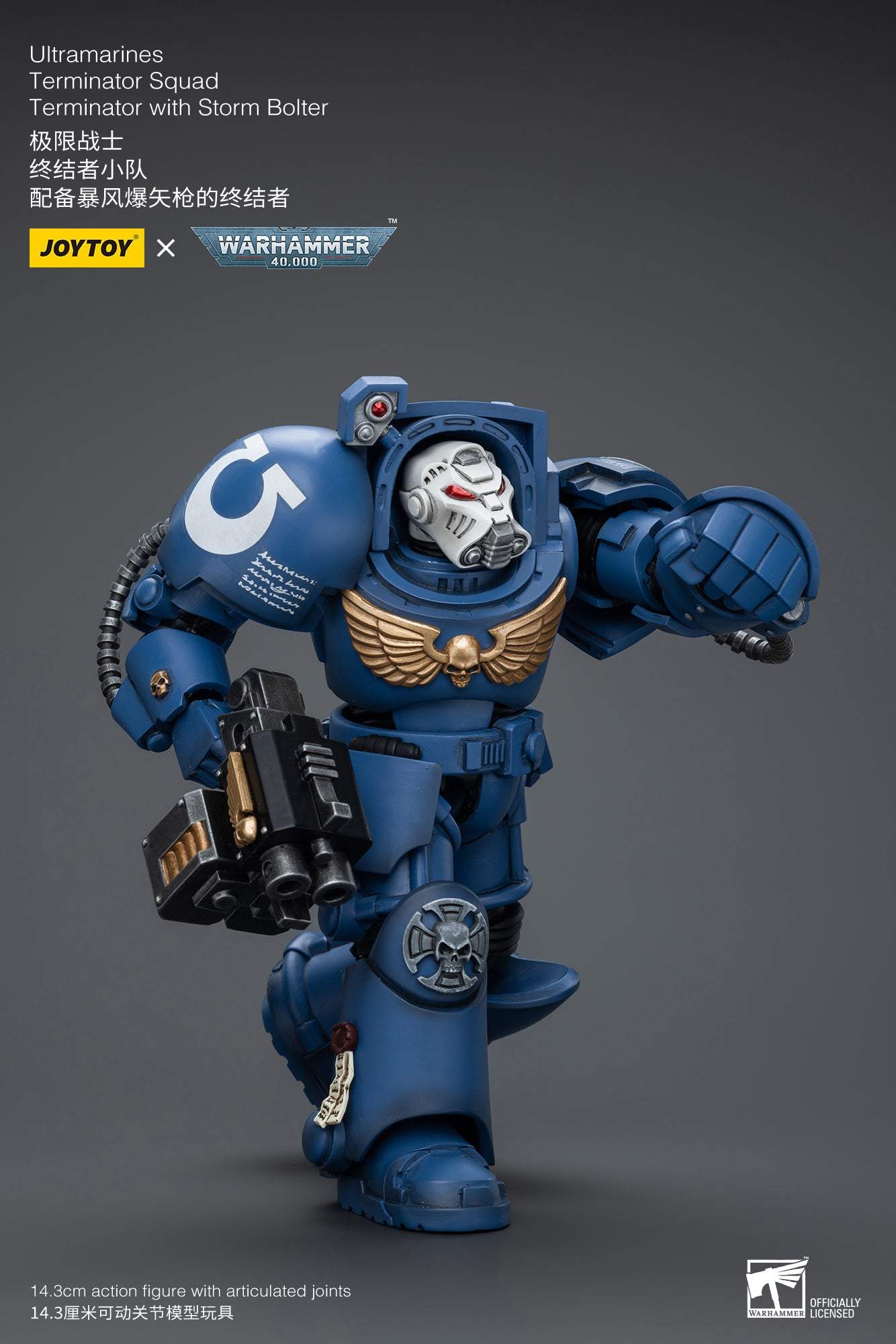 Ultramarines Terminator Squad Terminator with Storm Bolter- Warhammer 40K Action Figure By JOYTOY