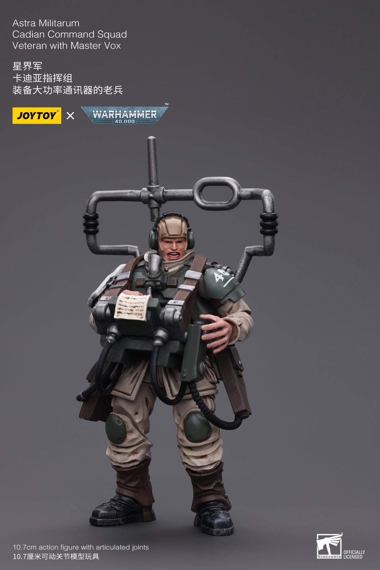 Astra Militarum Cadian Command Squad Veteran with Master Vox
