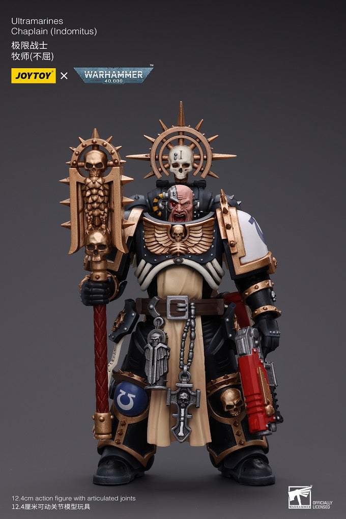 Ultramarines Chaplain (Indomitus)