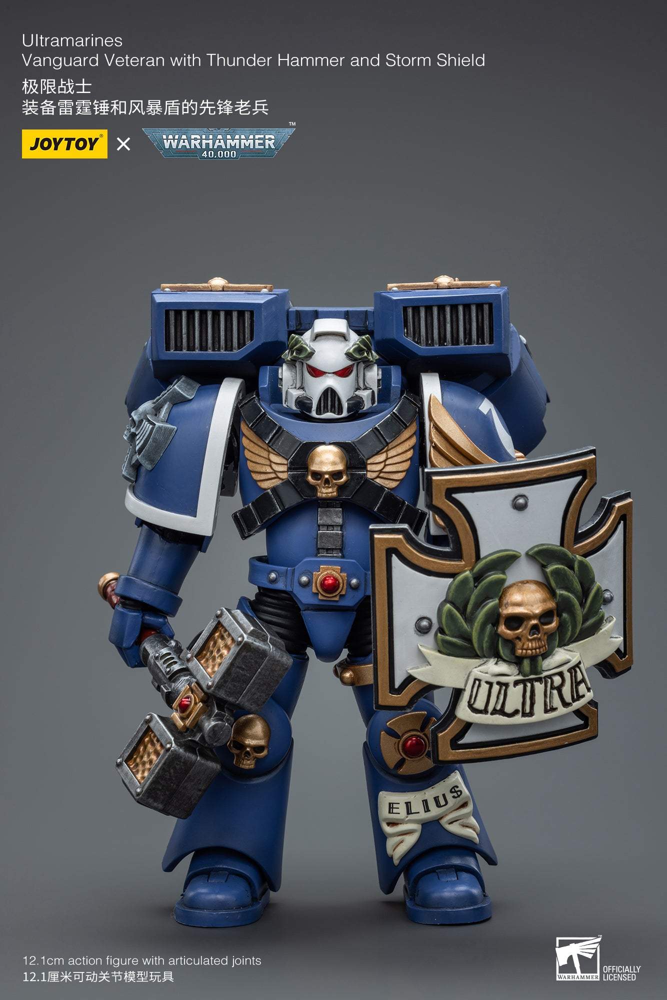 Ultramarines Vanguard Veteran with Thunder Hammer and Storm Shield