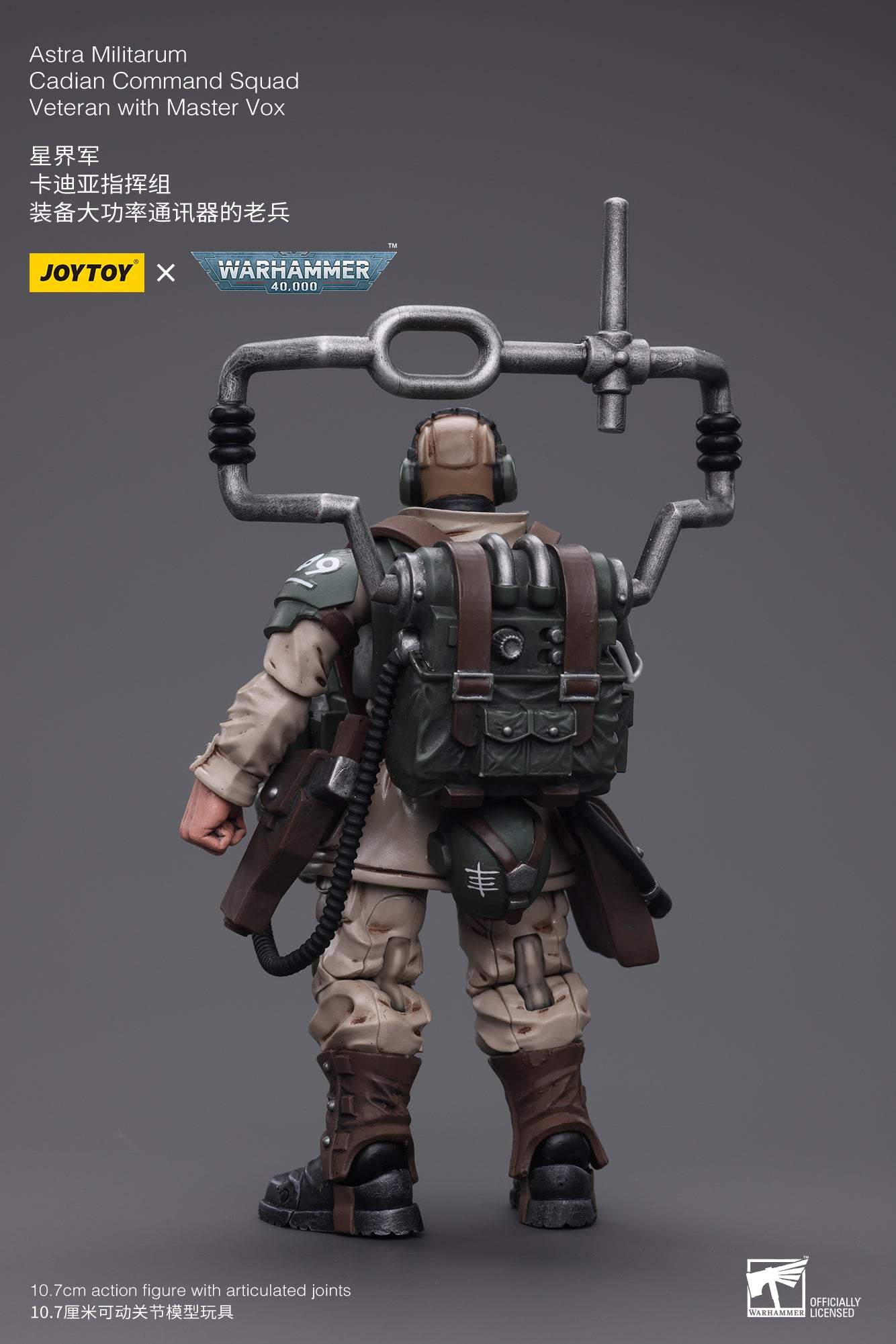 Astra Militarum Cadian Command Squad Veteran with Master Vox