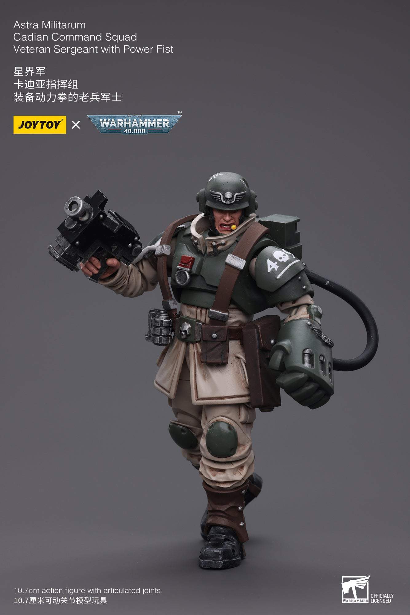 Astra Militarum Cadian Command Squad Veteran Sergeant with Power Fist