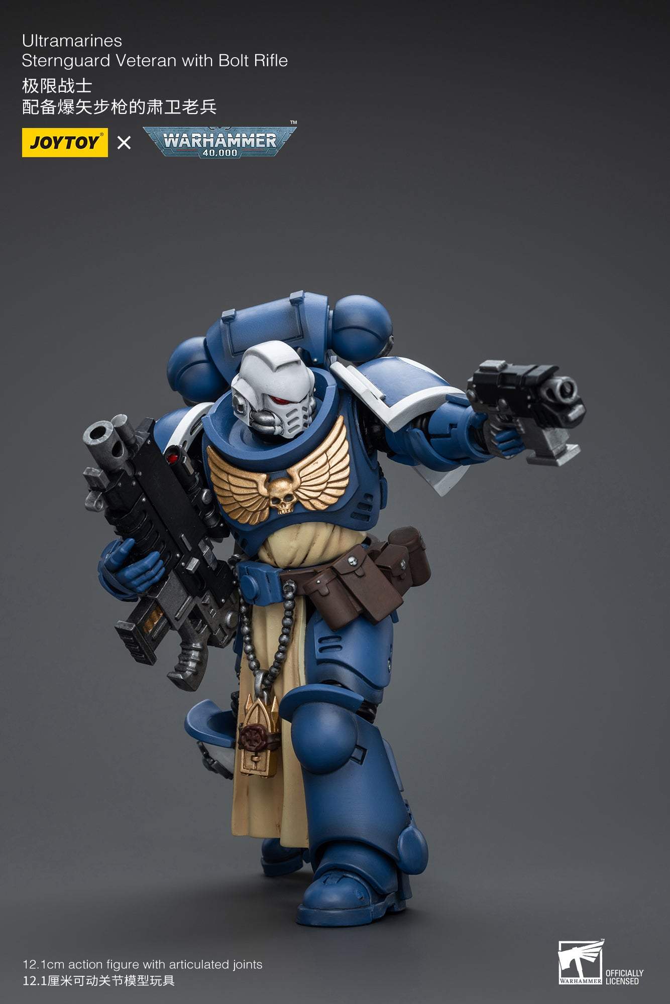 Ultramarines Sternguard Veteran with Bolt Rifle - Warhammer 40K Action Figure By JOYTOY
