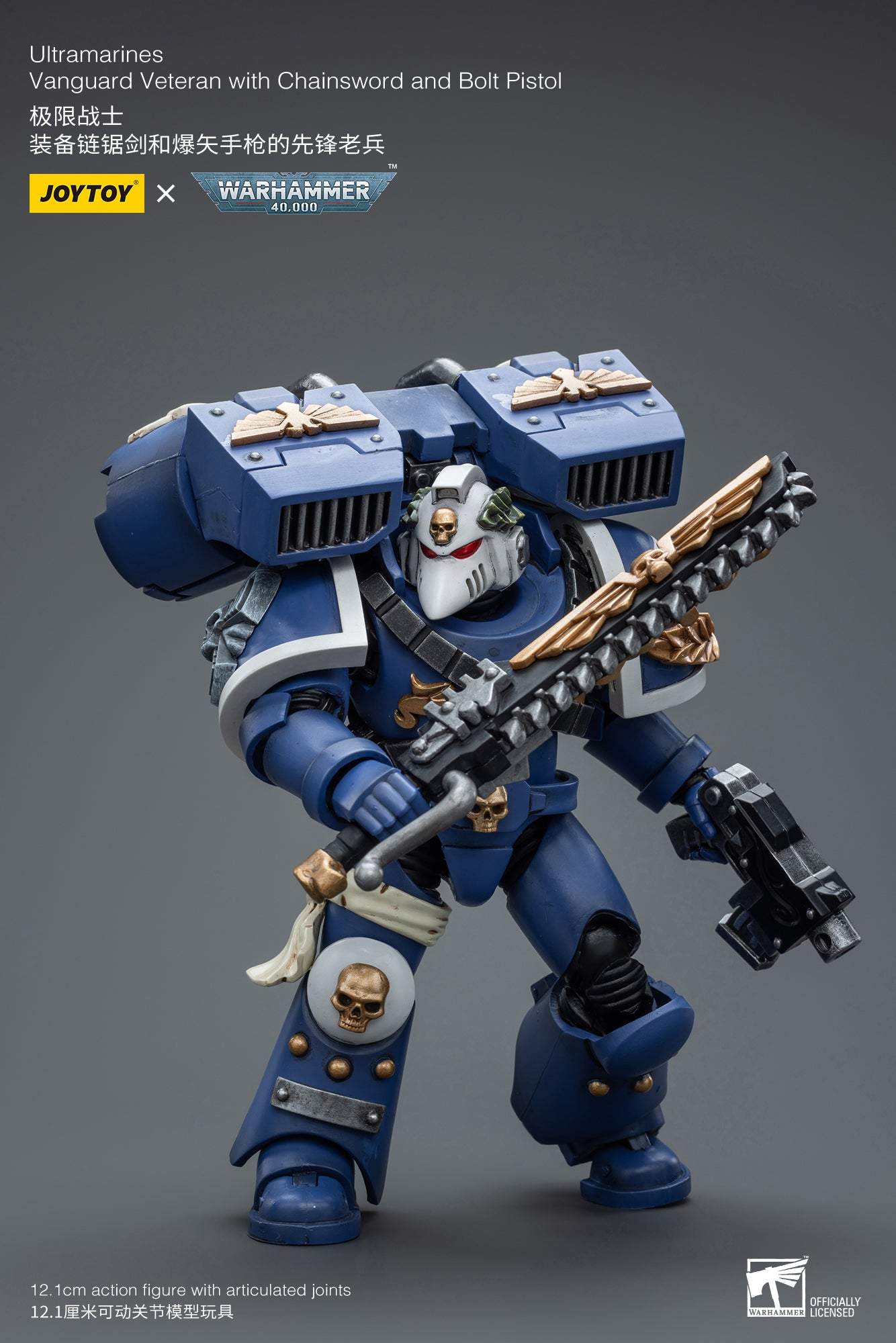 Ultramarines Vanguard Veteran with Chainsword and Bolt Pistol