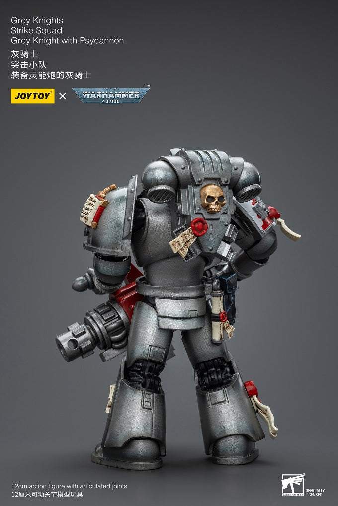 Grey Knights Strike Squad Grey Knight with Psycannon
