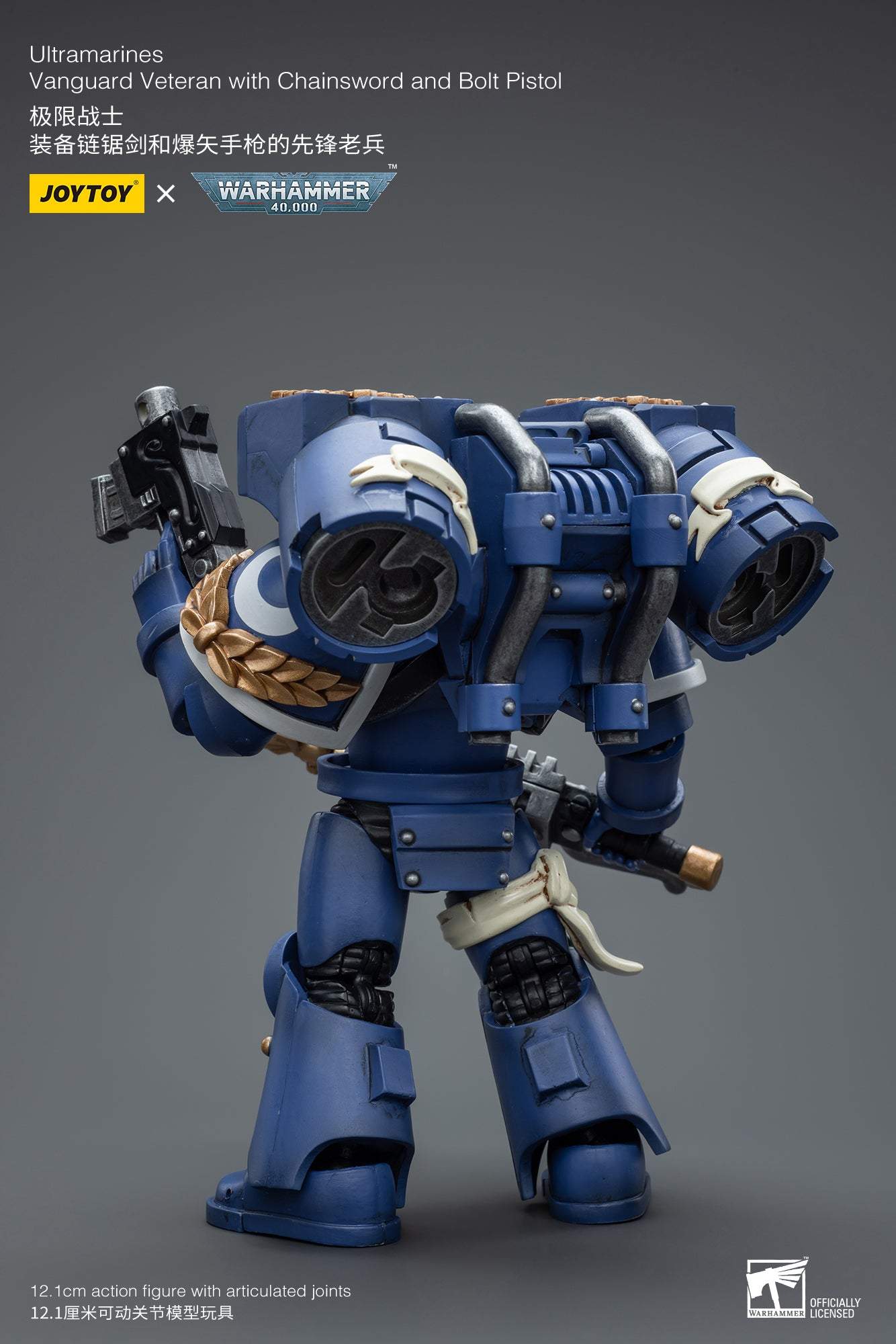 Ultramarines Vanguard Veteran with Chainsword and Bolt Pistol