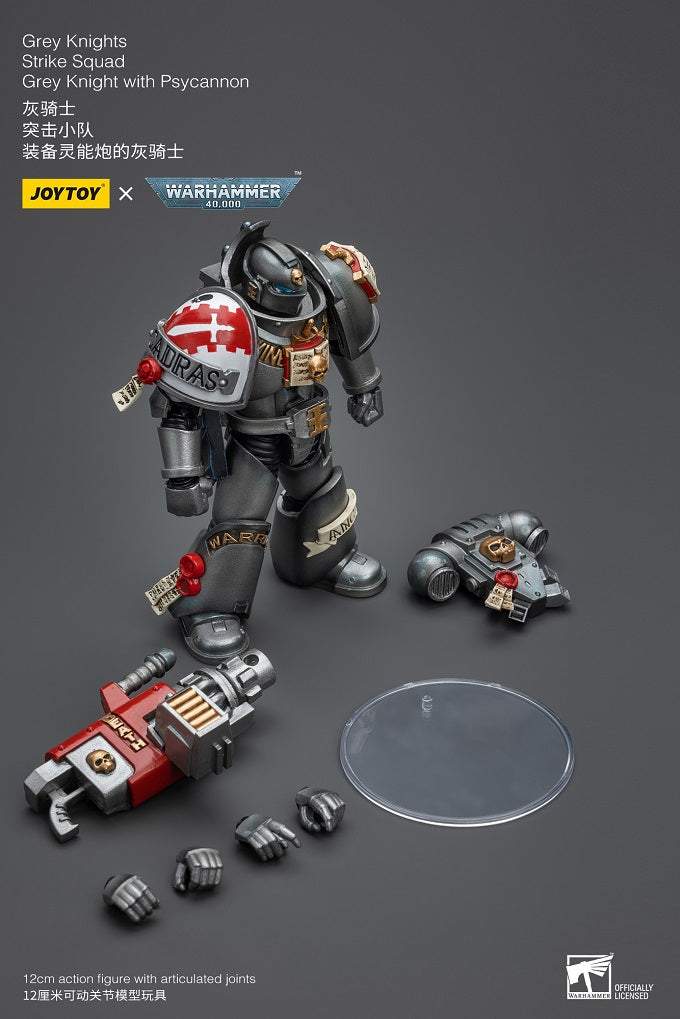 Grey Knights Strike Squad Grey Knight with Psycannon