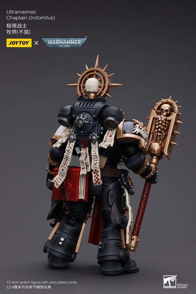 Ultramarines Chaplain (Indomitus)
