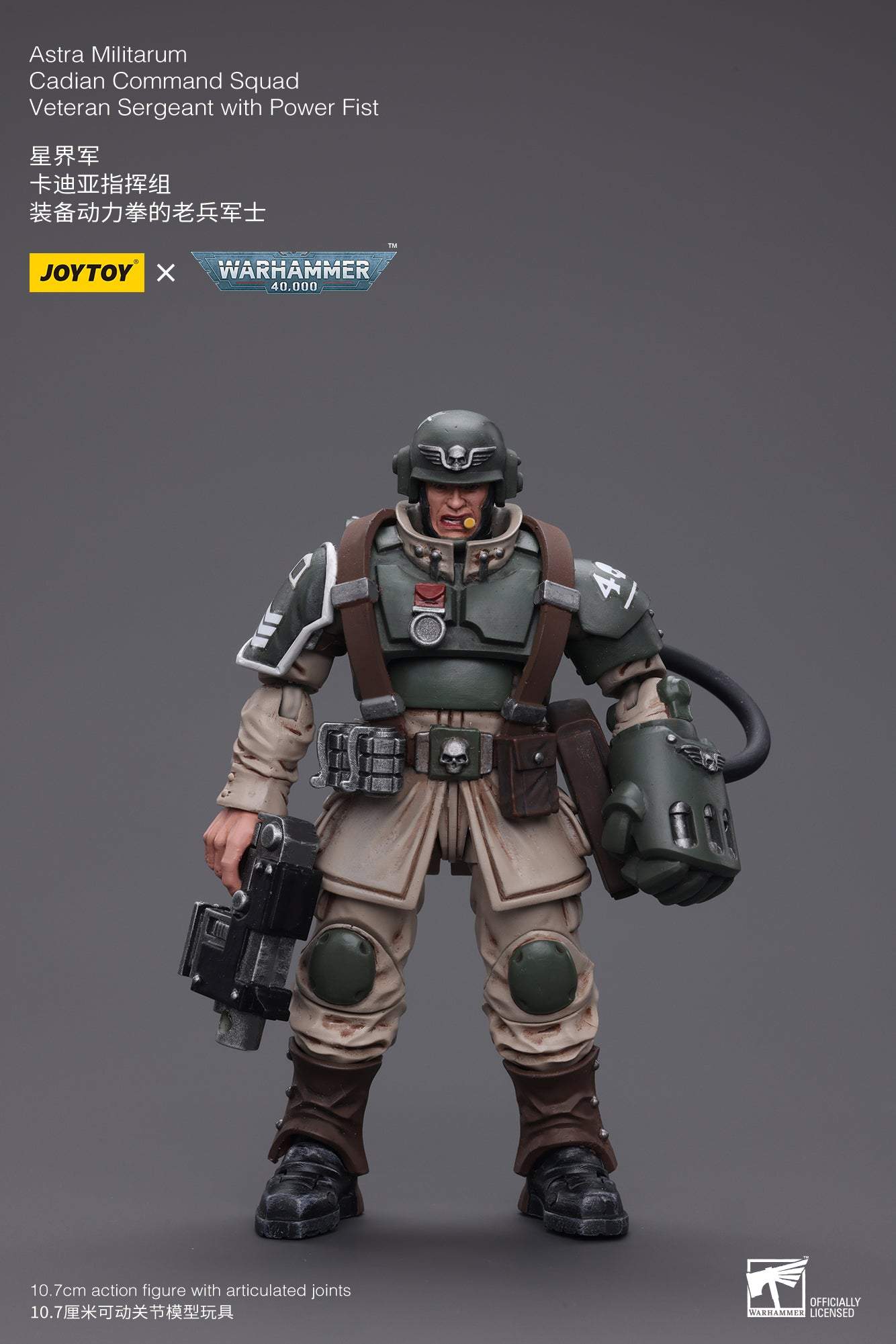 Astra Militarum Cadian Command Squad Veteran Sergeant with Power Fist