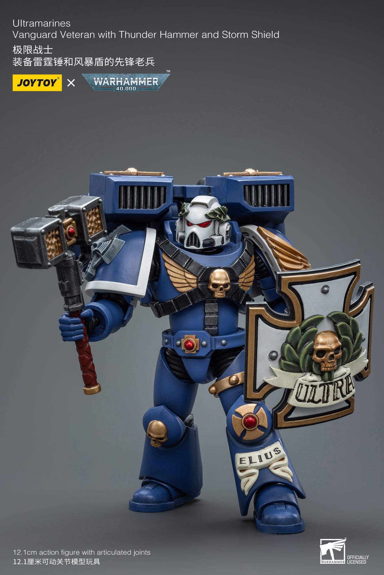 Ultramarines Vanguard Veteran with Thunder Hammer and Storm Shield