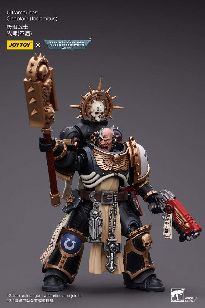 Ultramarines Chaplain (Indomitus)