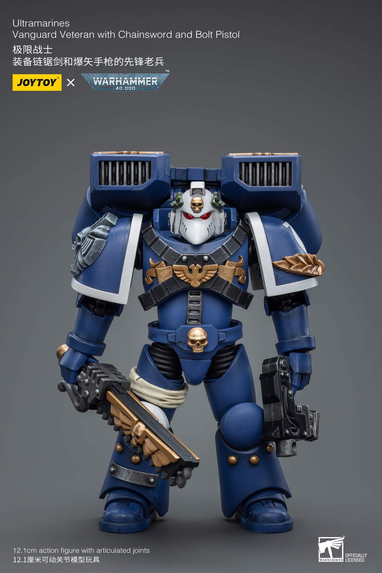 Ultramarines Vanguard Veteran with Chainsword and Bolt Pistol