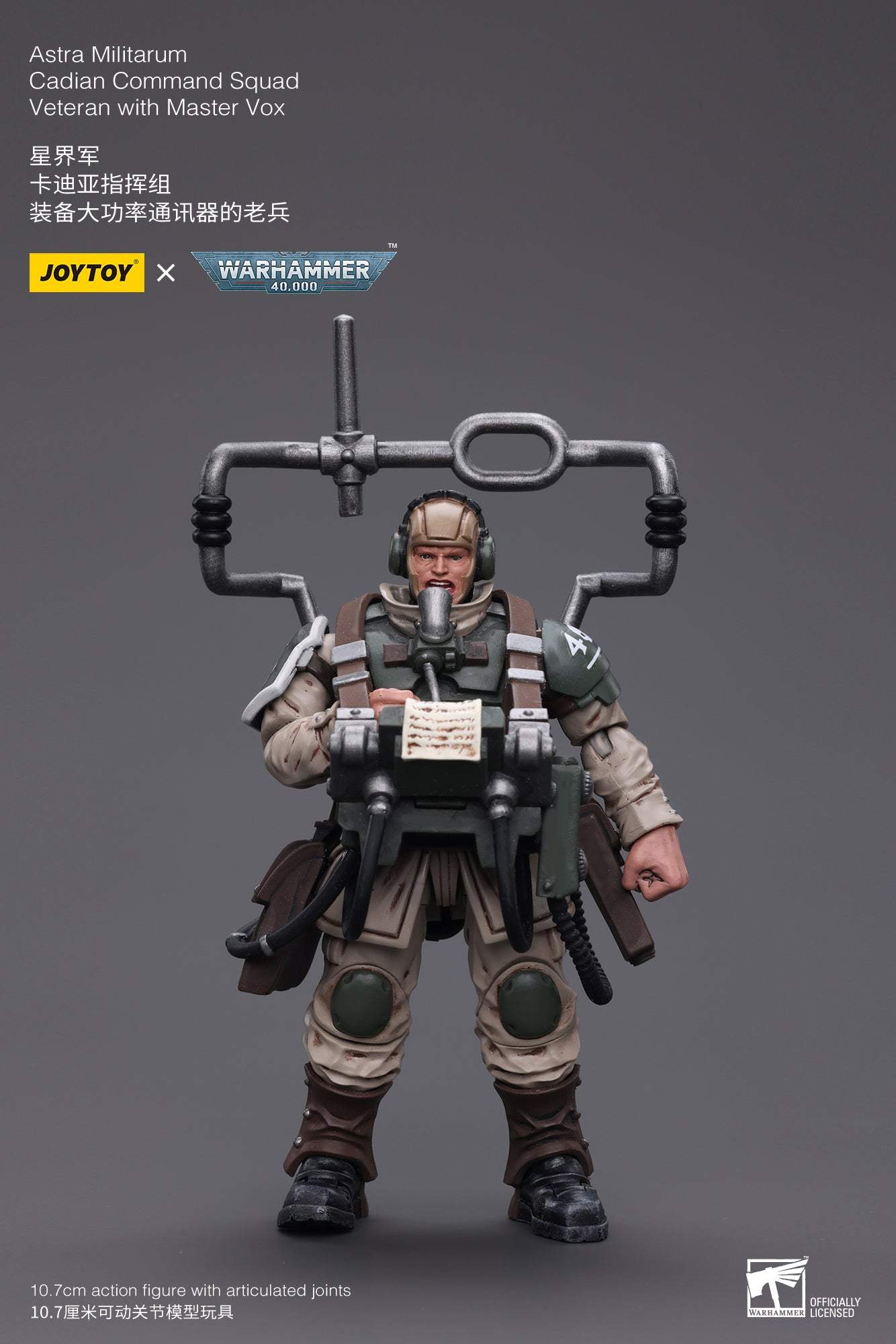 Astra Militarum Cadian Command Squad Veteran with Master Vox