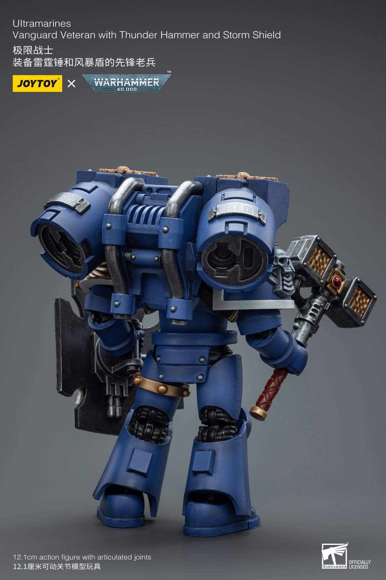 Ultramarines Vanguard Veteran with Thunder Hammer and Storm Shield