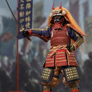 1/12 Palm Hero 武田信玄 (送外箱)