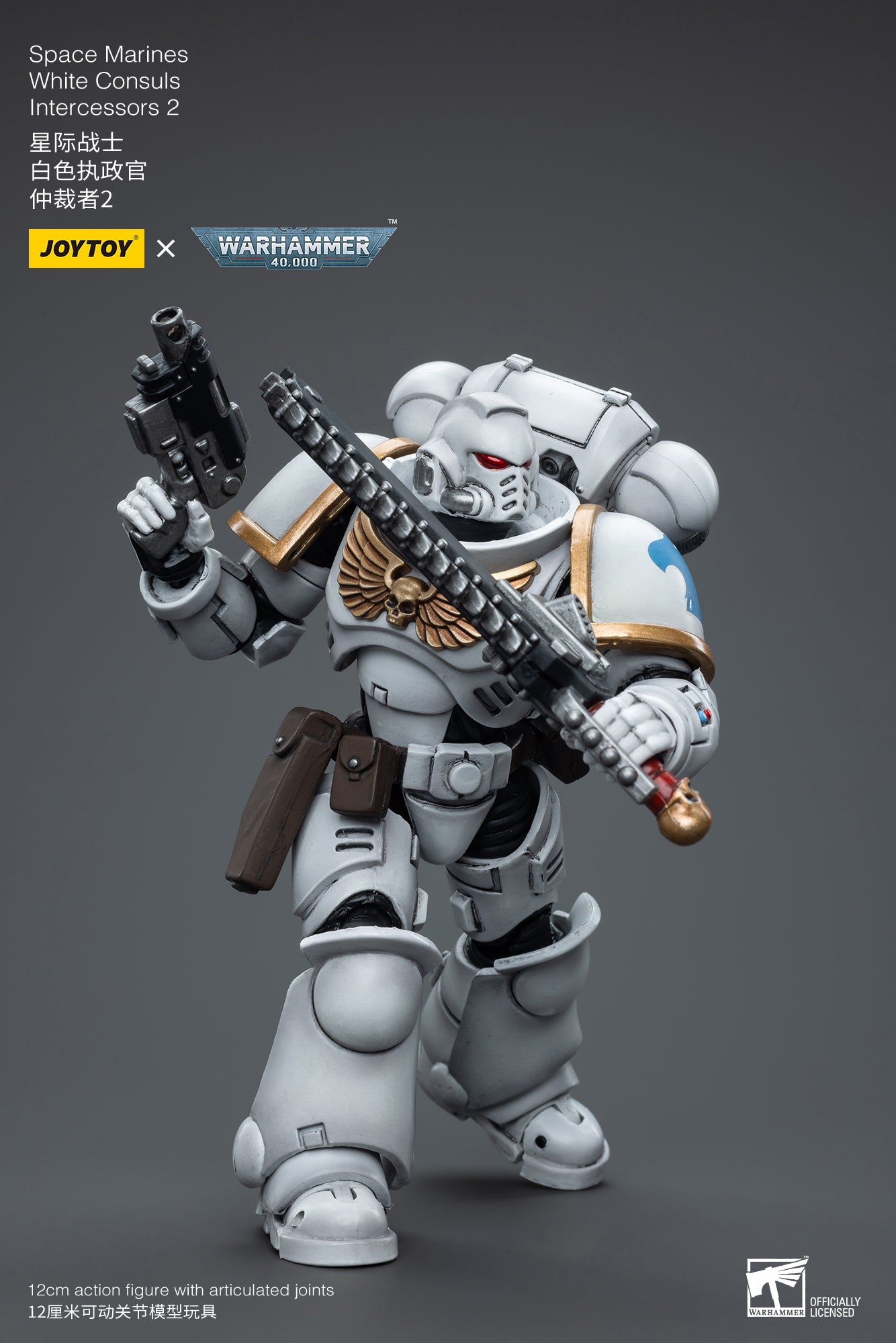 Space Marines White Consuls Intercessors 2