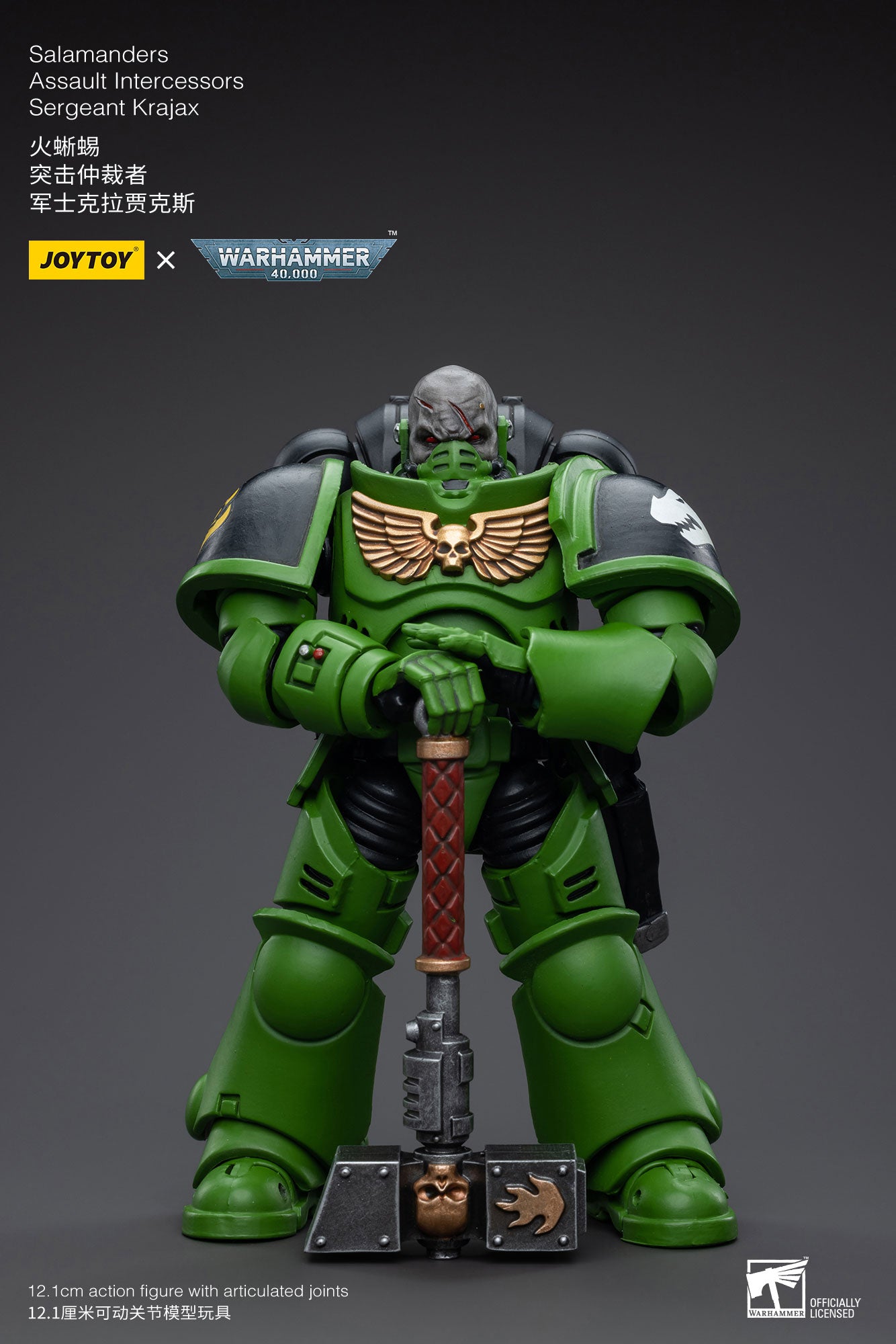 Salamanders Assault Intercessors Sergeant Krajax