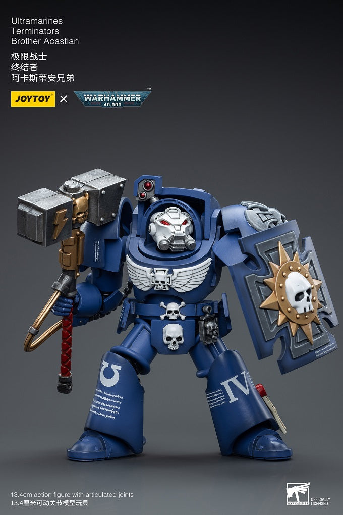 Ultramarines Terminators Brother Acastian