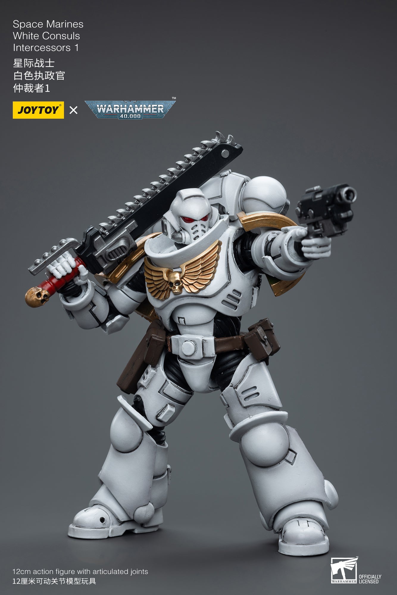 Space Marines White Consuls Intercessors 1