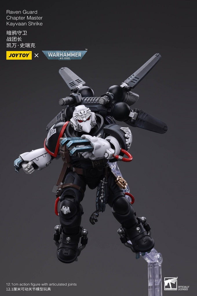 Raven Guard Chapter Master Kayvaan Shrike