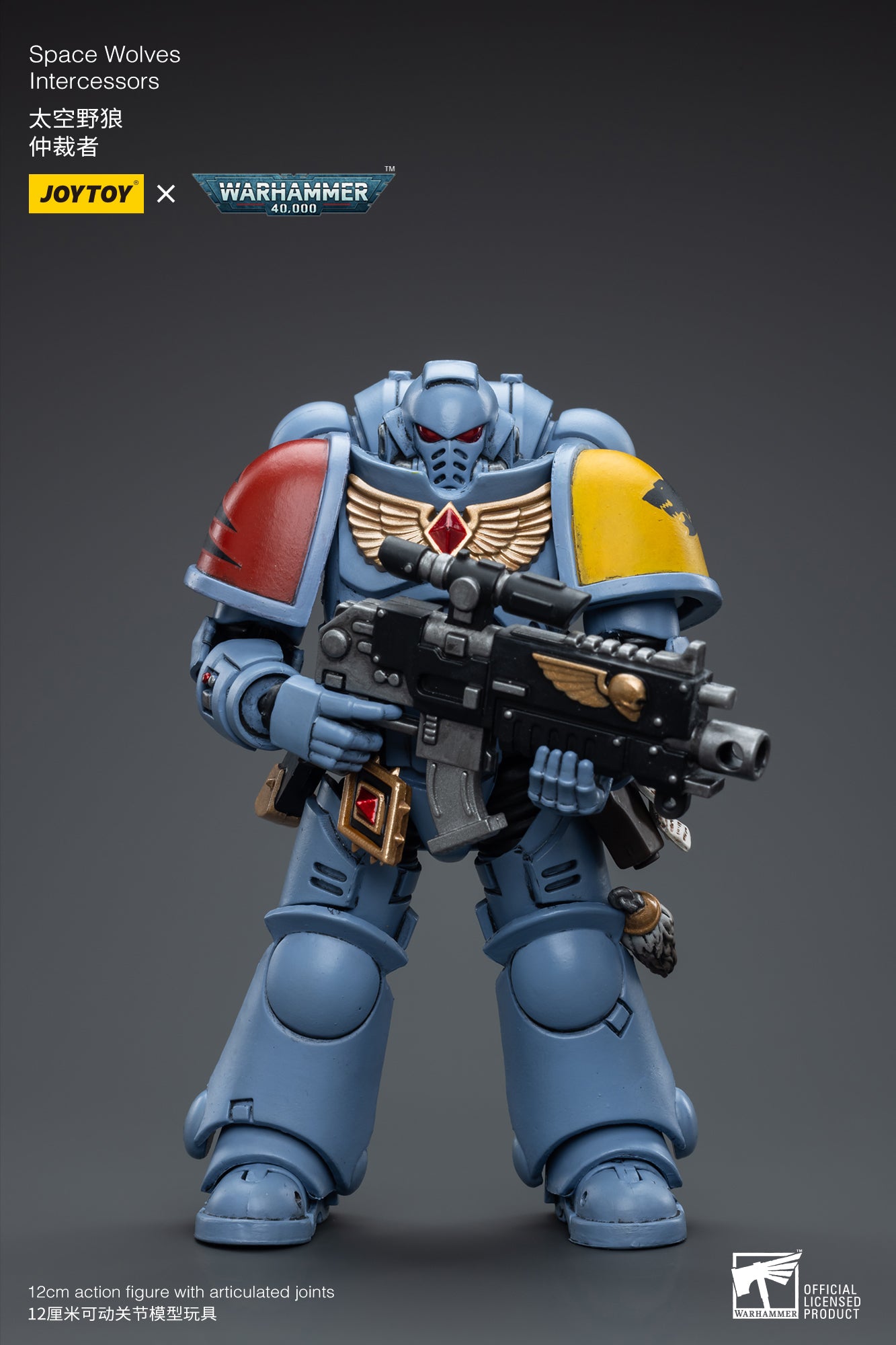 Space Wolves Intercessors