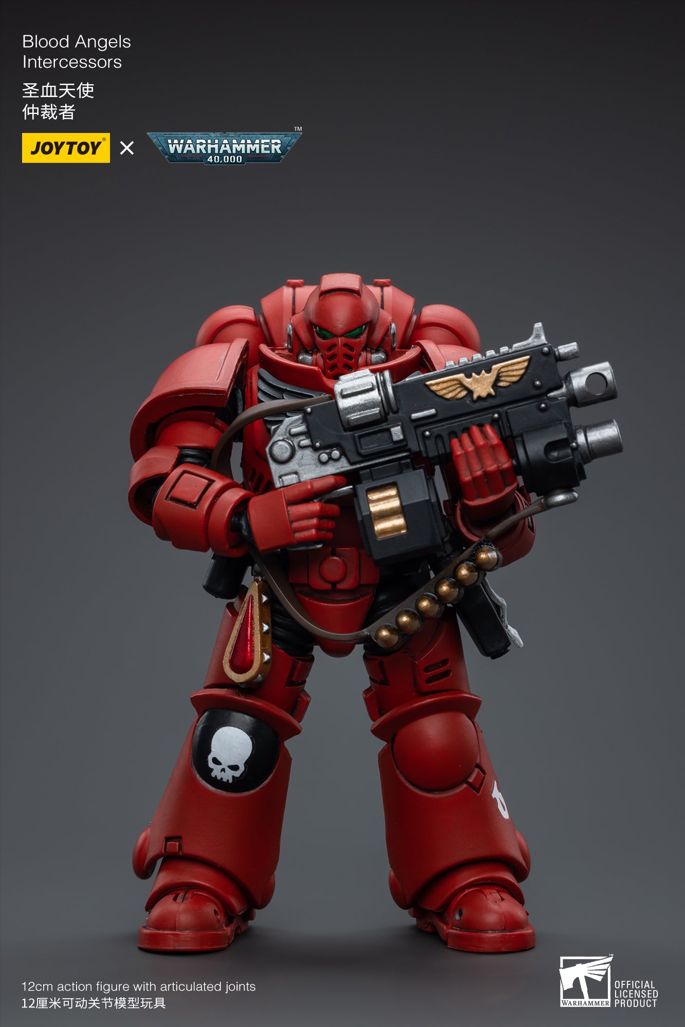 Blood Angels Intercessors
