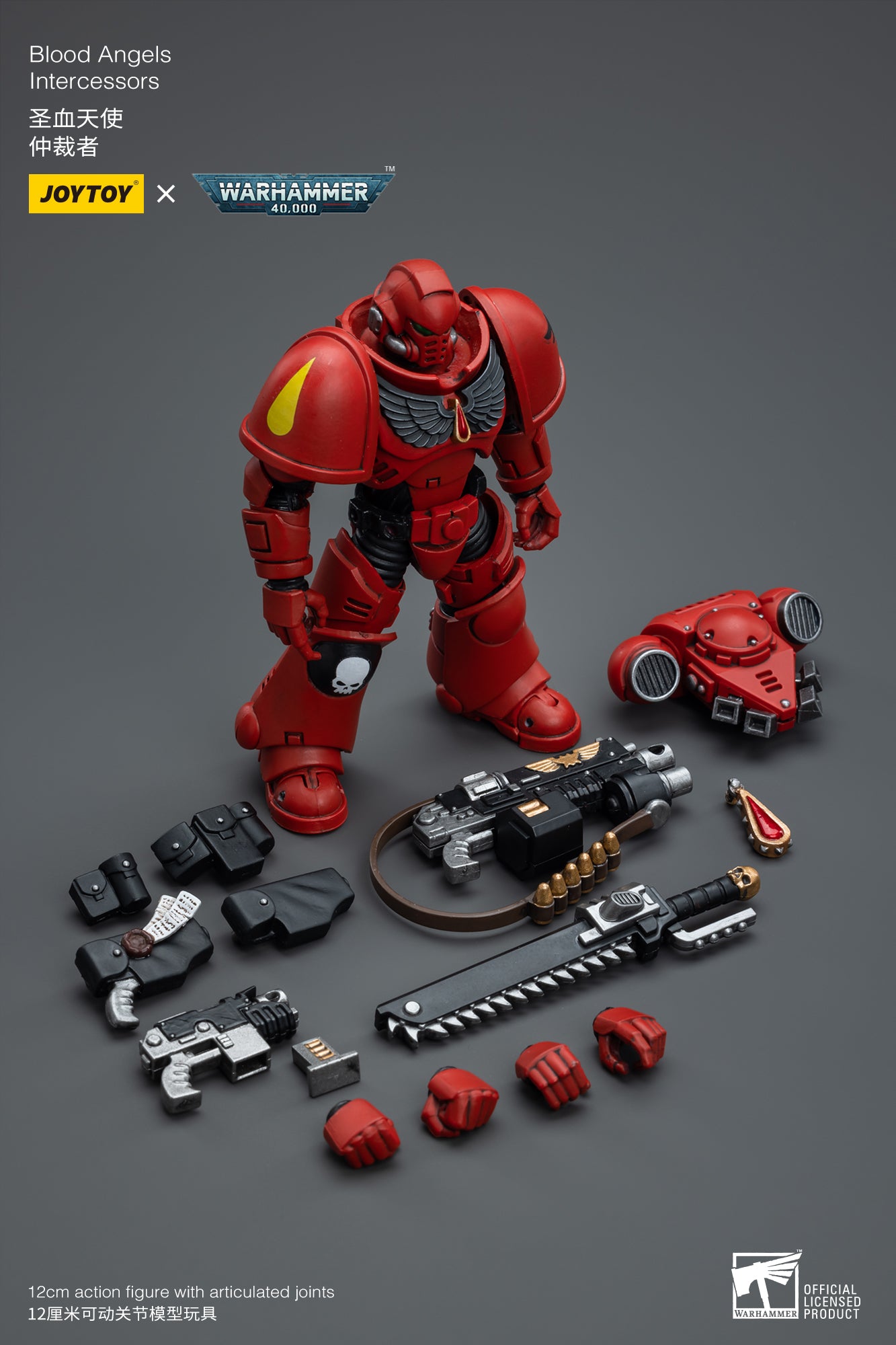 Blood Angels Intercessors