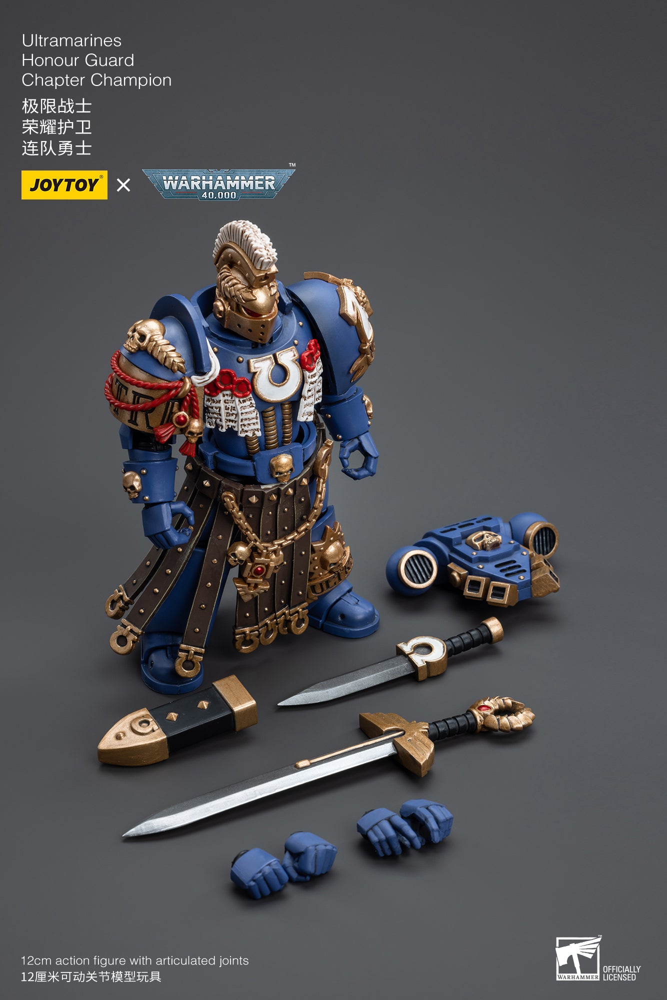 Ultramarines Honour Guard Chapter Champion