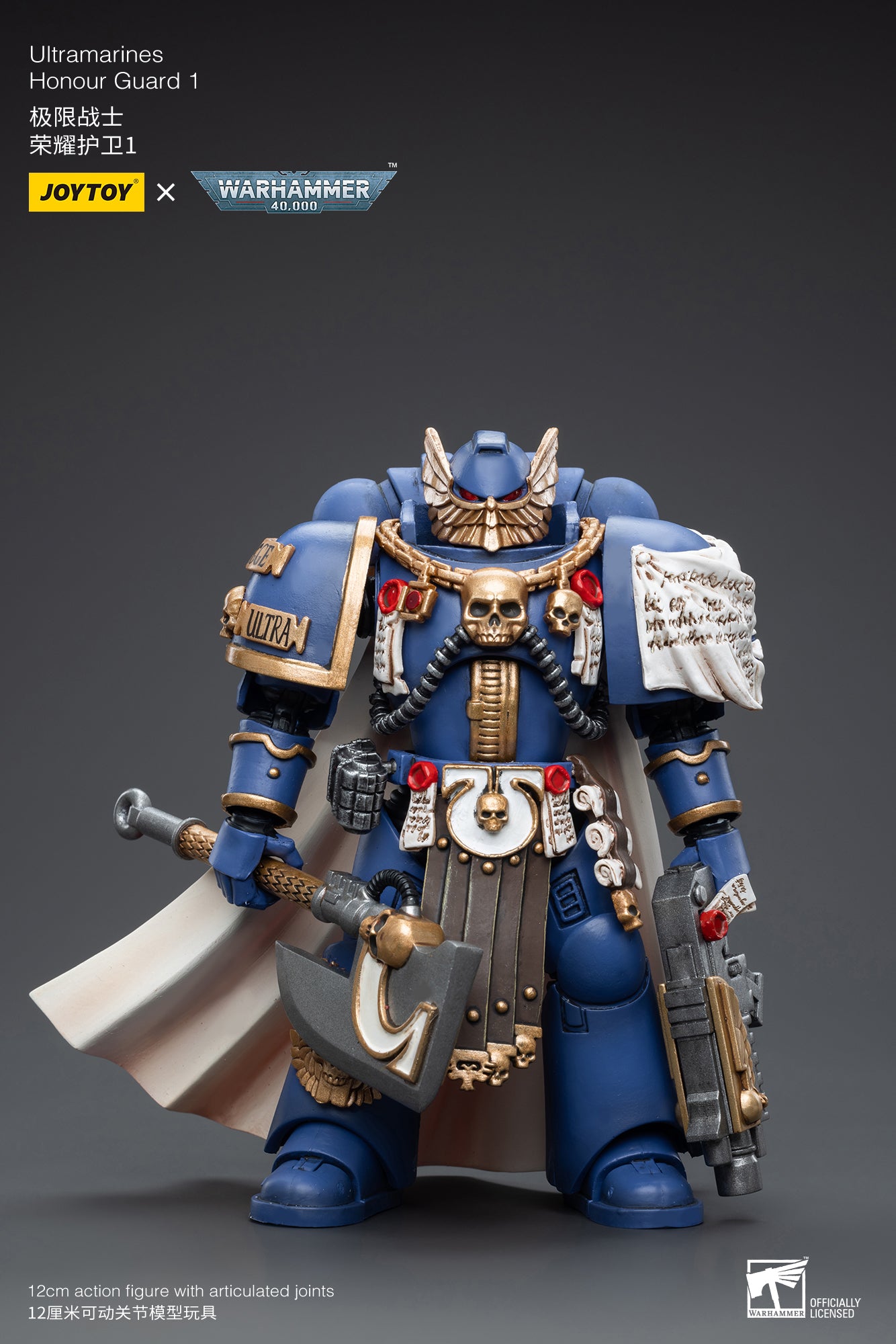 Ultramarines Honour Guard 1