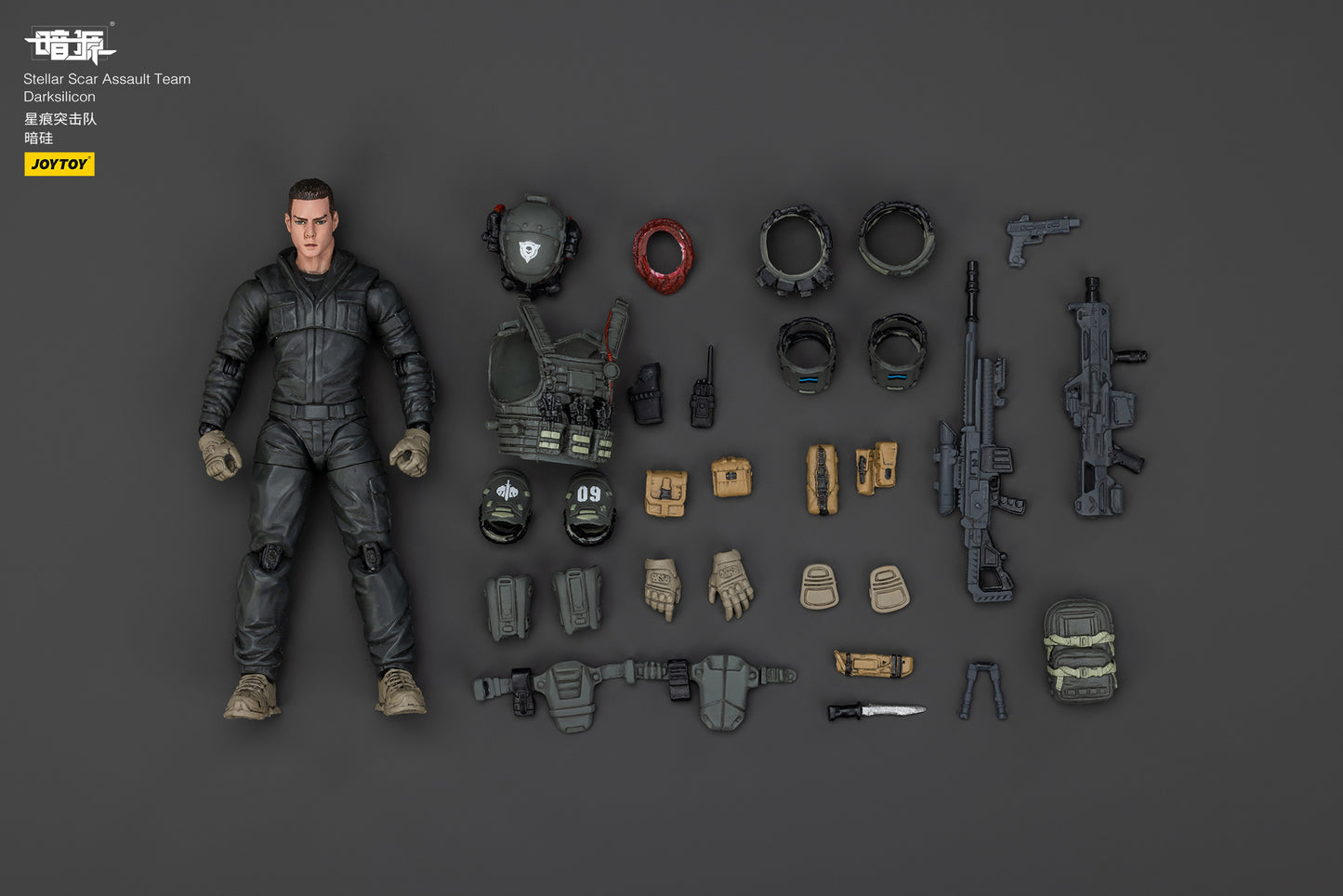 Stellar Scar Assault Team- Action Figure by JOYTOY