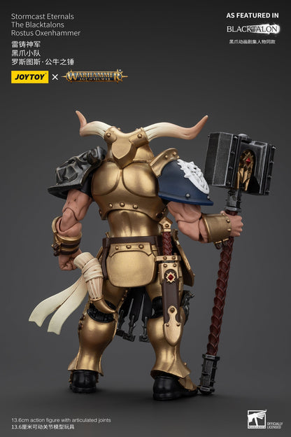 Stormcast Eternals The Blacktalons - Warhammer AGE OF SIGMAR - Action Figure By JOYTOY