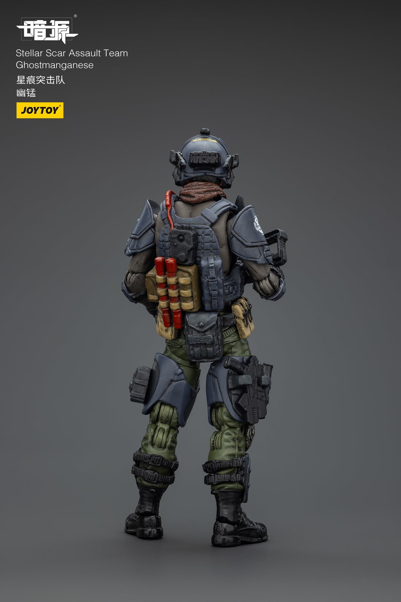 Stellar Scar Assault Team- Action Figure by JOYTOY