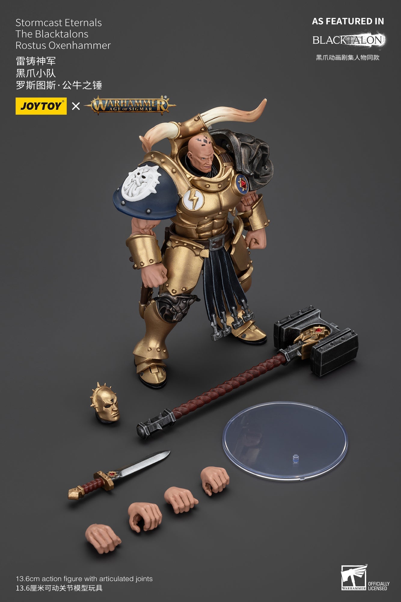 Stormcast Eternals The Blacktalons - Warhammer AGE OF SIGMAR - Action Figure By JOYTOY